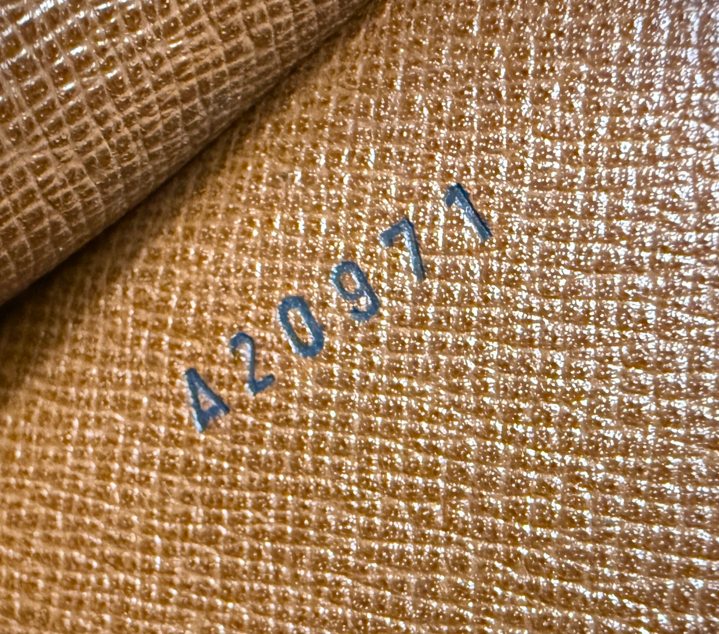 Louis Vuitton Bordeaux Bag