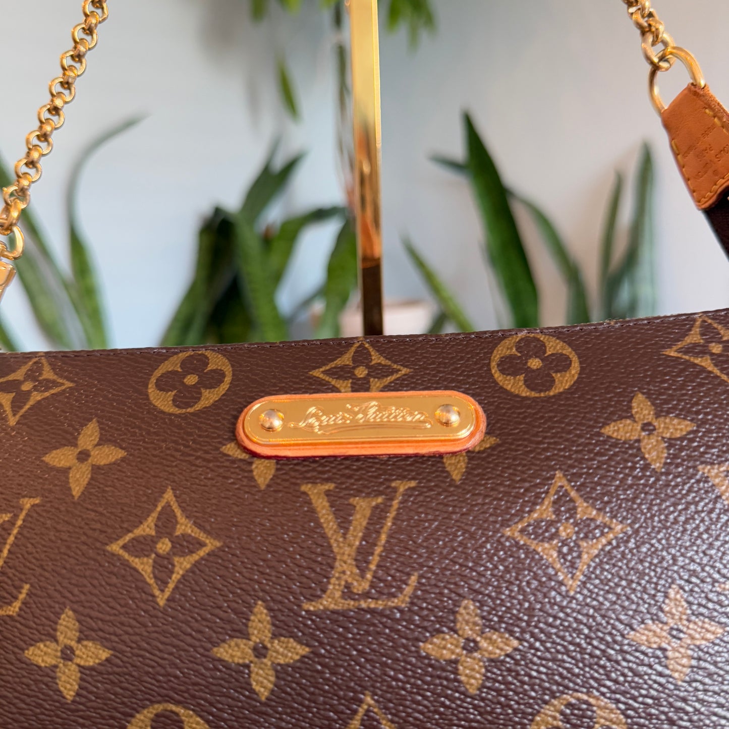 Louis Vuitton Eva 2-way