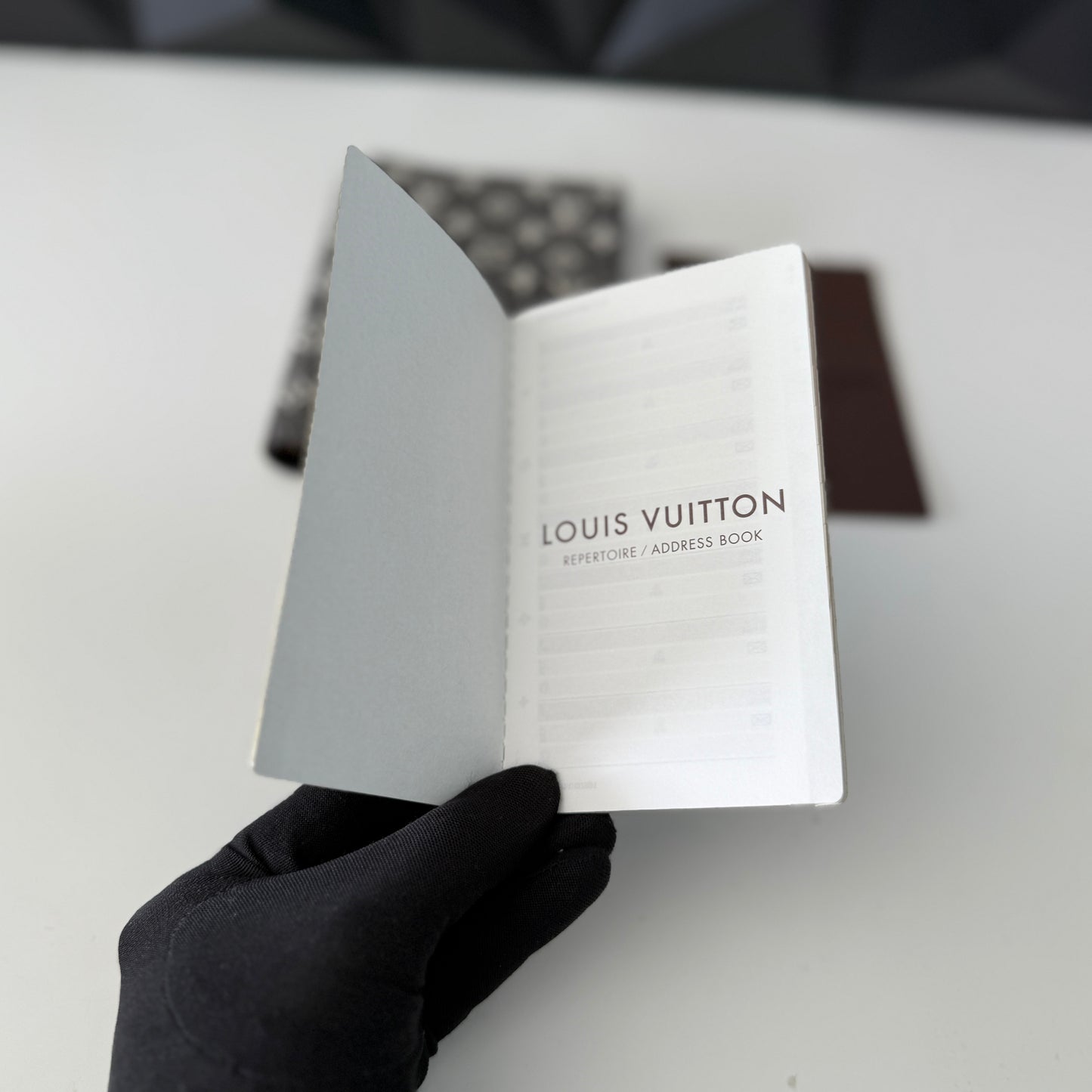 Louis Vuitton Mini Lin Agenda PM