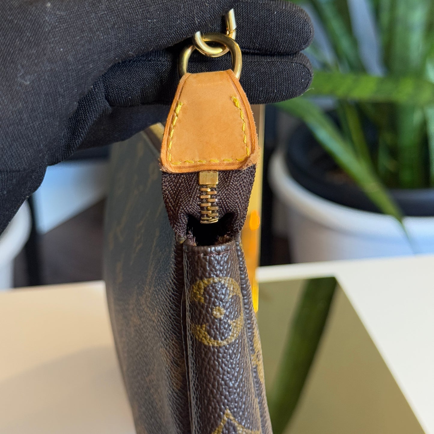 Louis Vuitton Pochette Accessoires