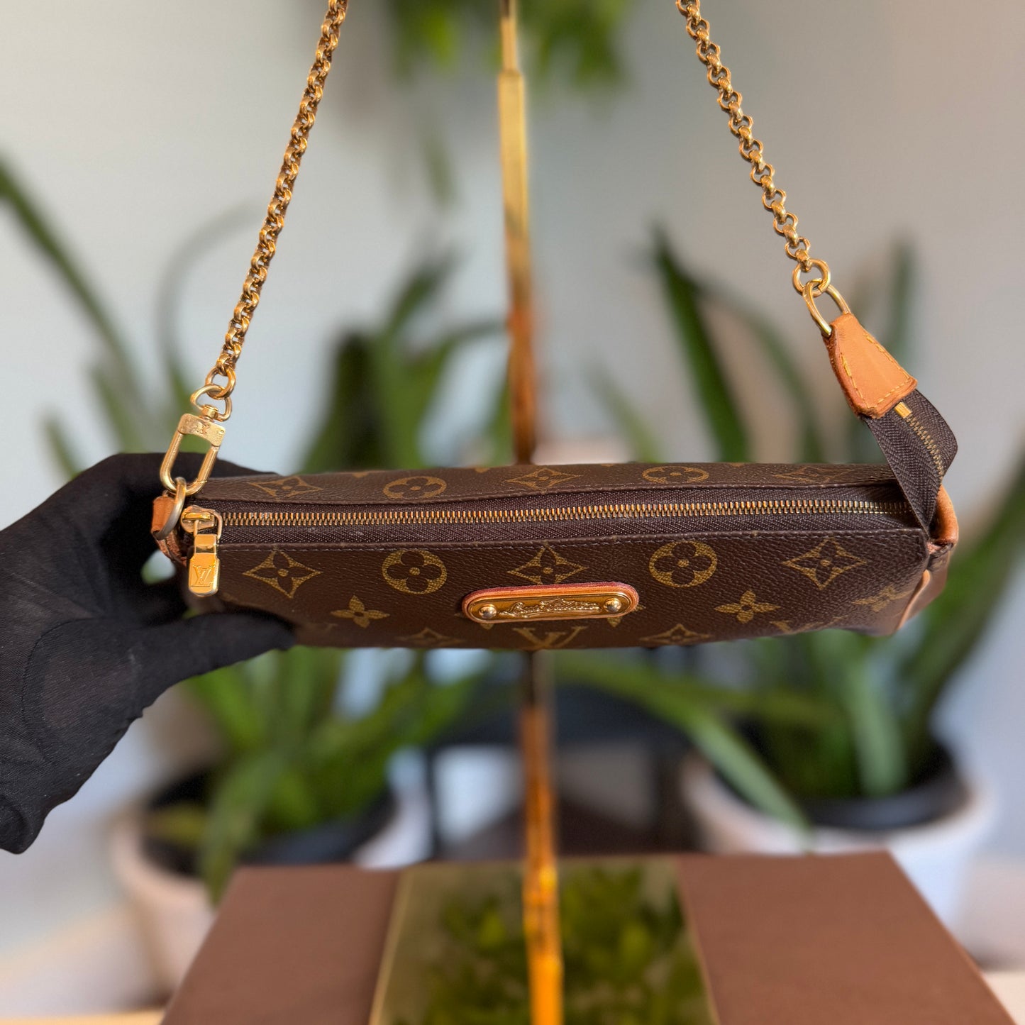 Louis Vuitton Eva 2-way