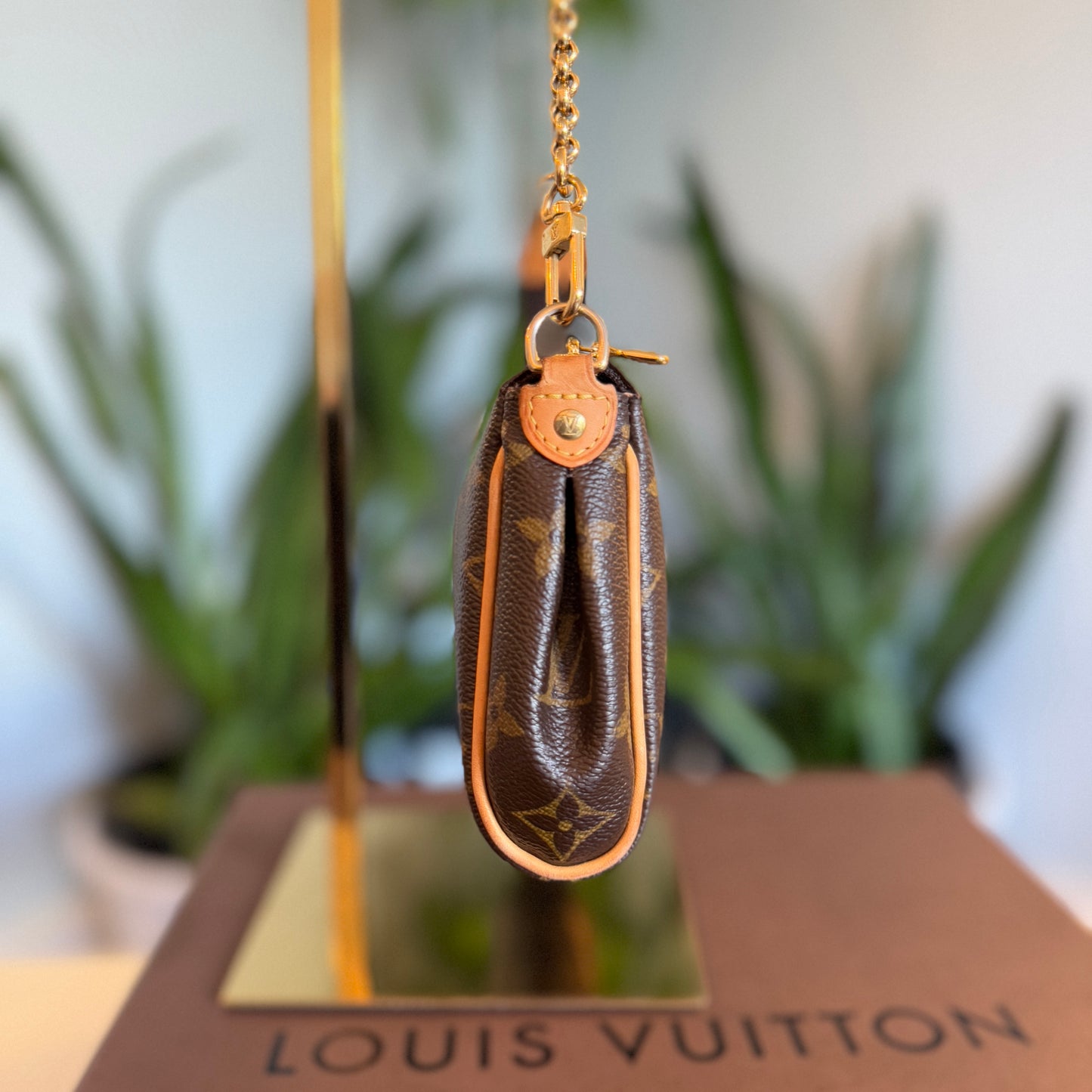 Louis Vuitton Eva 2-way