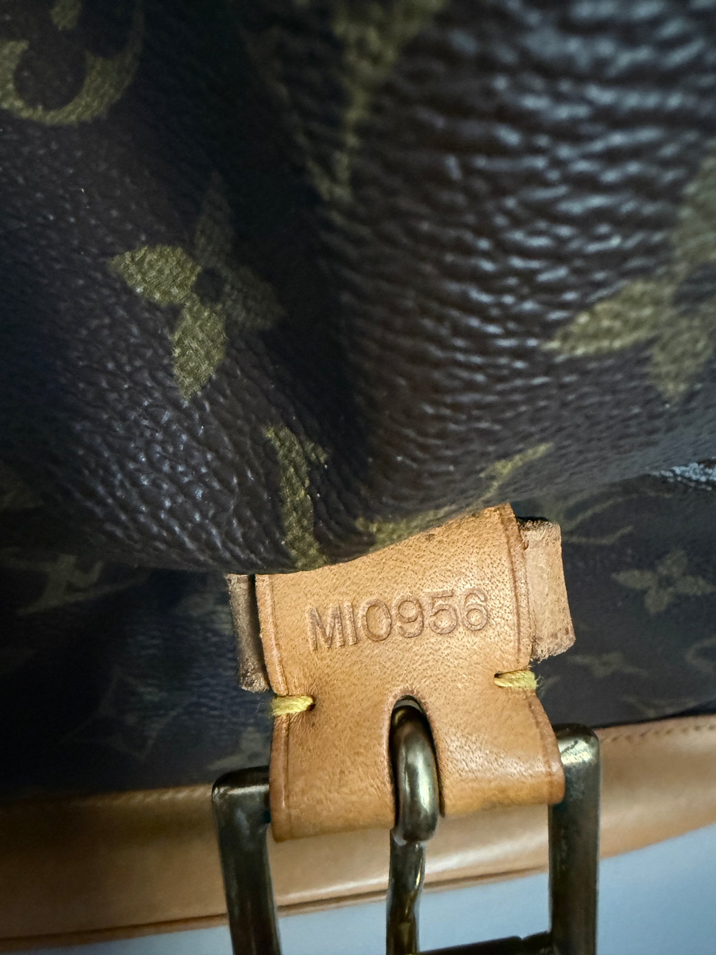 Louis Vuitton Montsouris GM