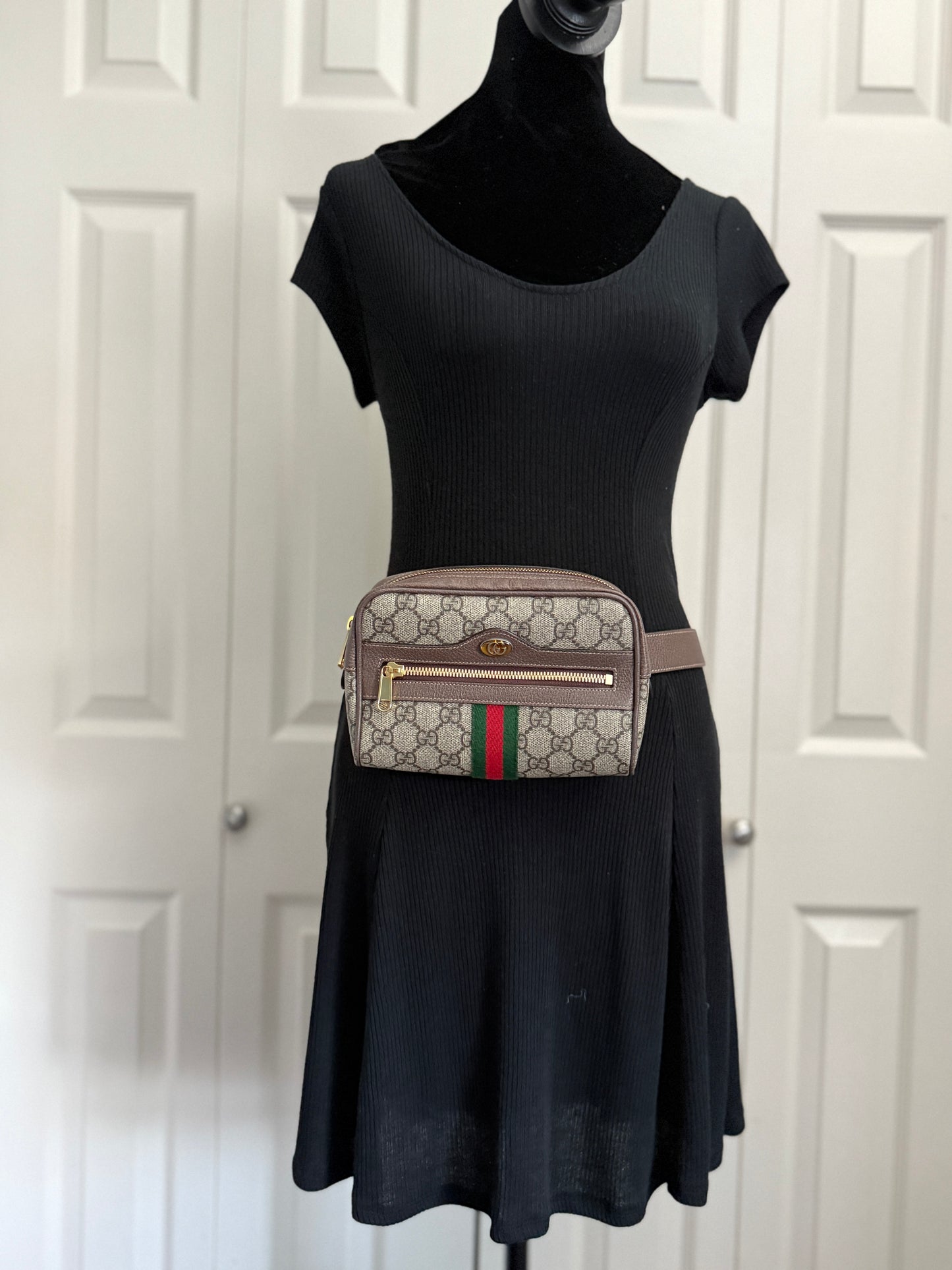 Gucci Ophidia Belt Bag