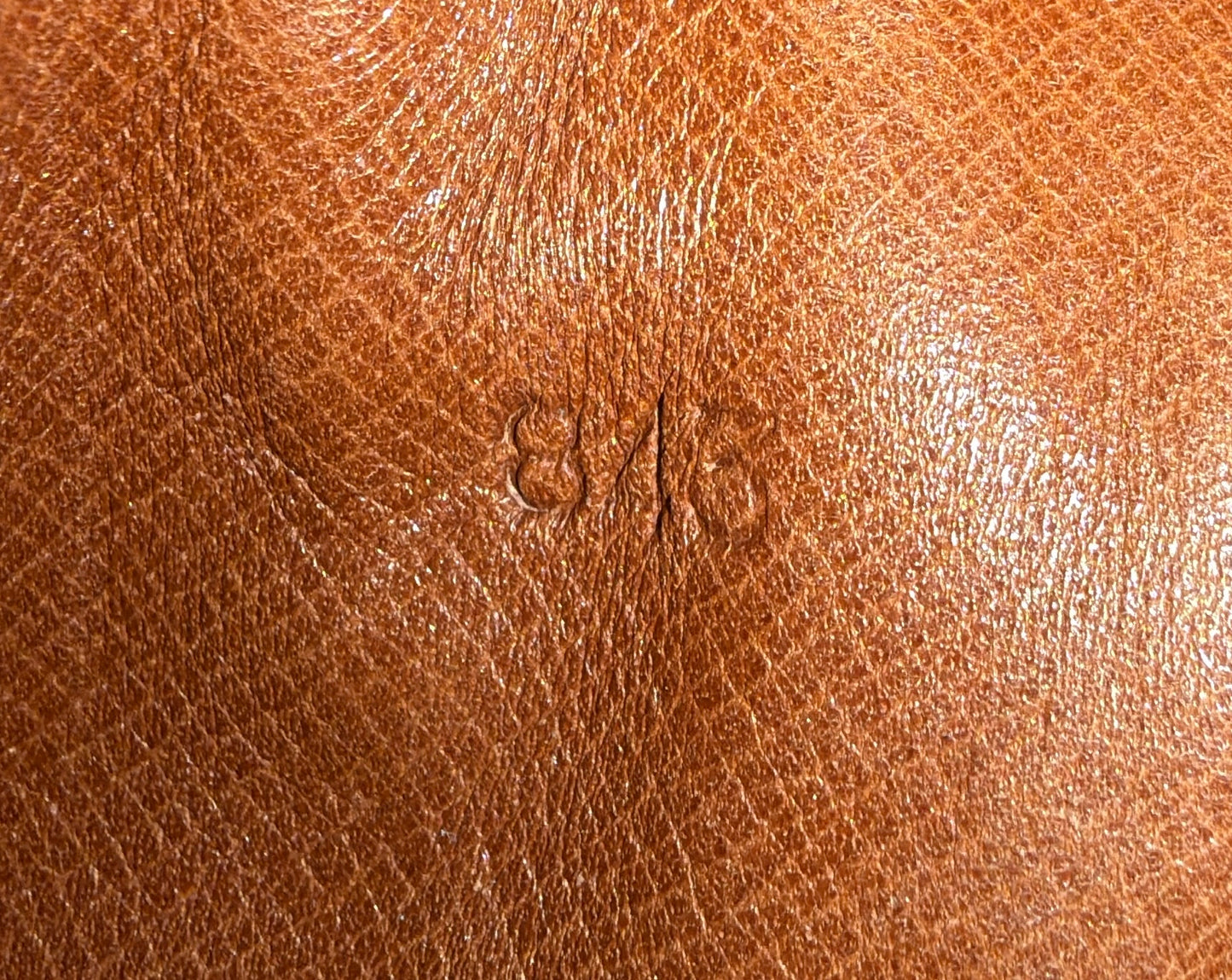 Louis Vuitton Amazone PM