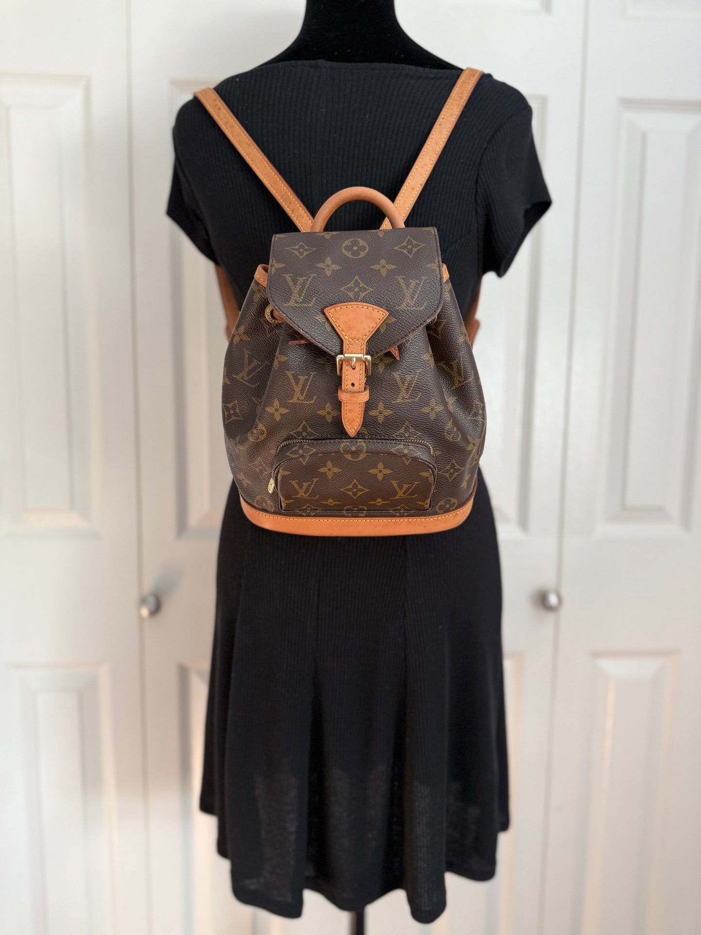 Louis Vuitton Montsouris Mini