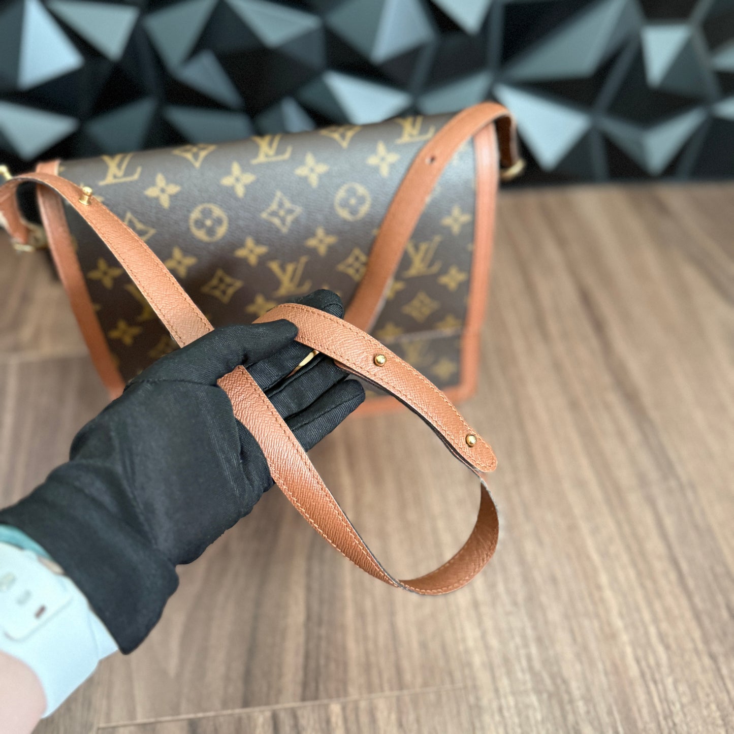 Louis Vuitton Raspail Bag