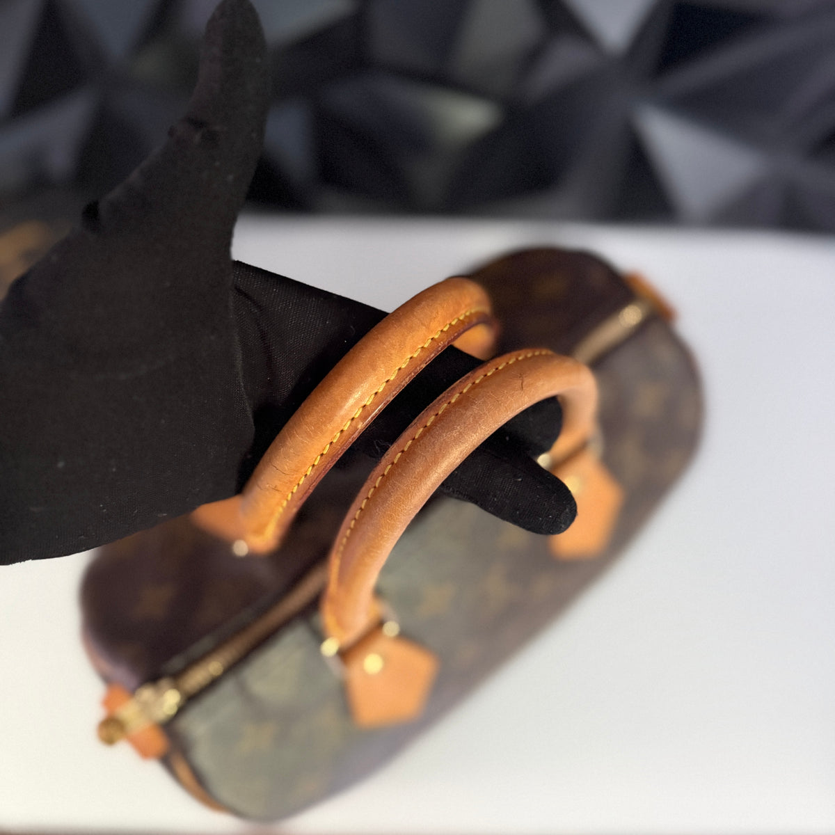 Louis Vuitton Speedy 25