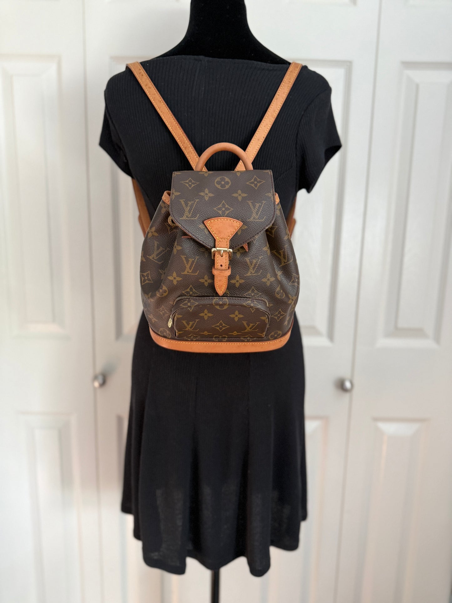 Louis Vuitton Montsouris Mini