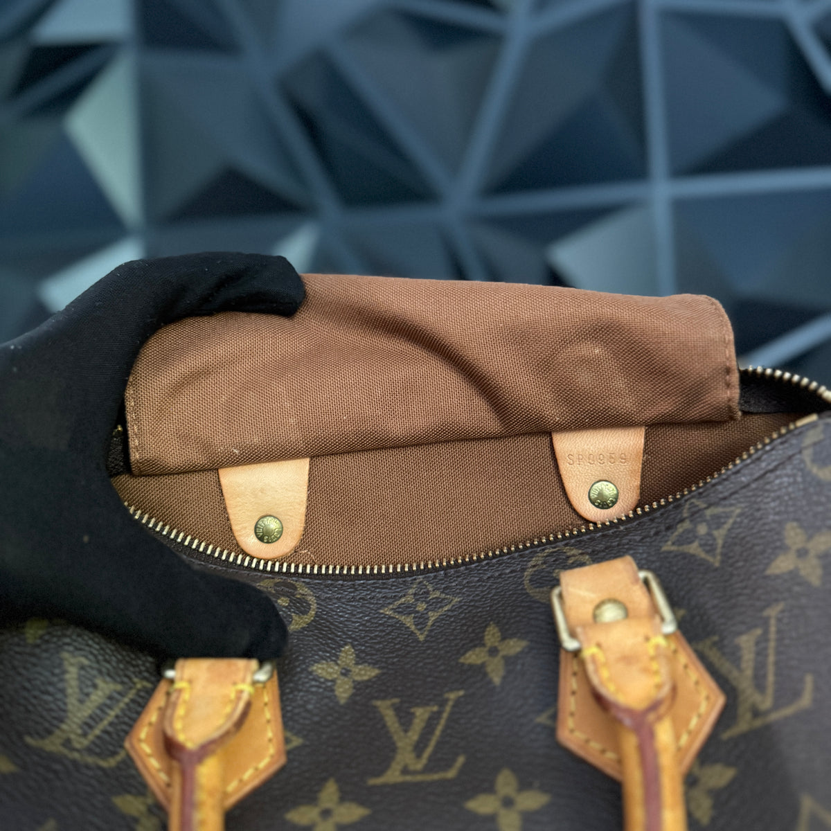 Louis Vuitton Speedy 25