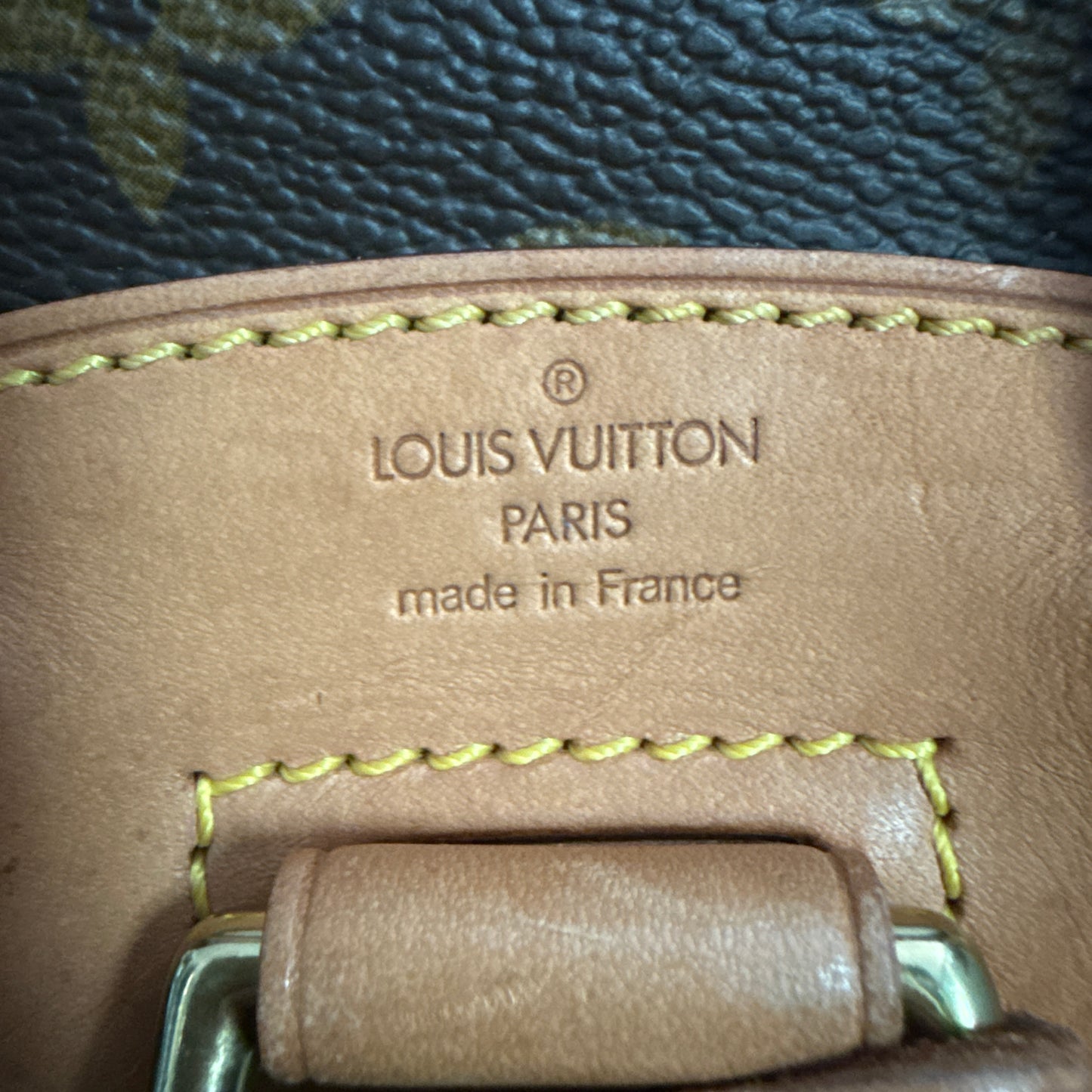 Louis Vuitton Montsouris Mini