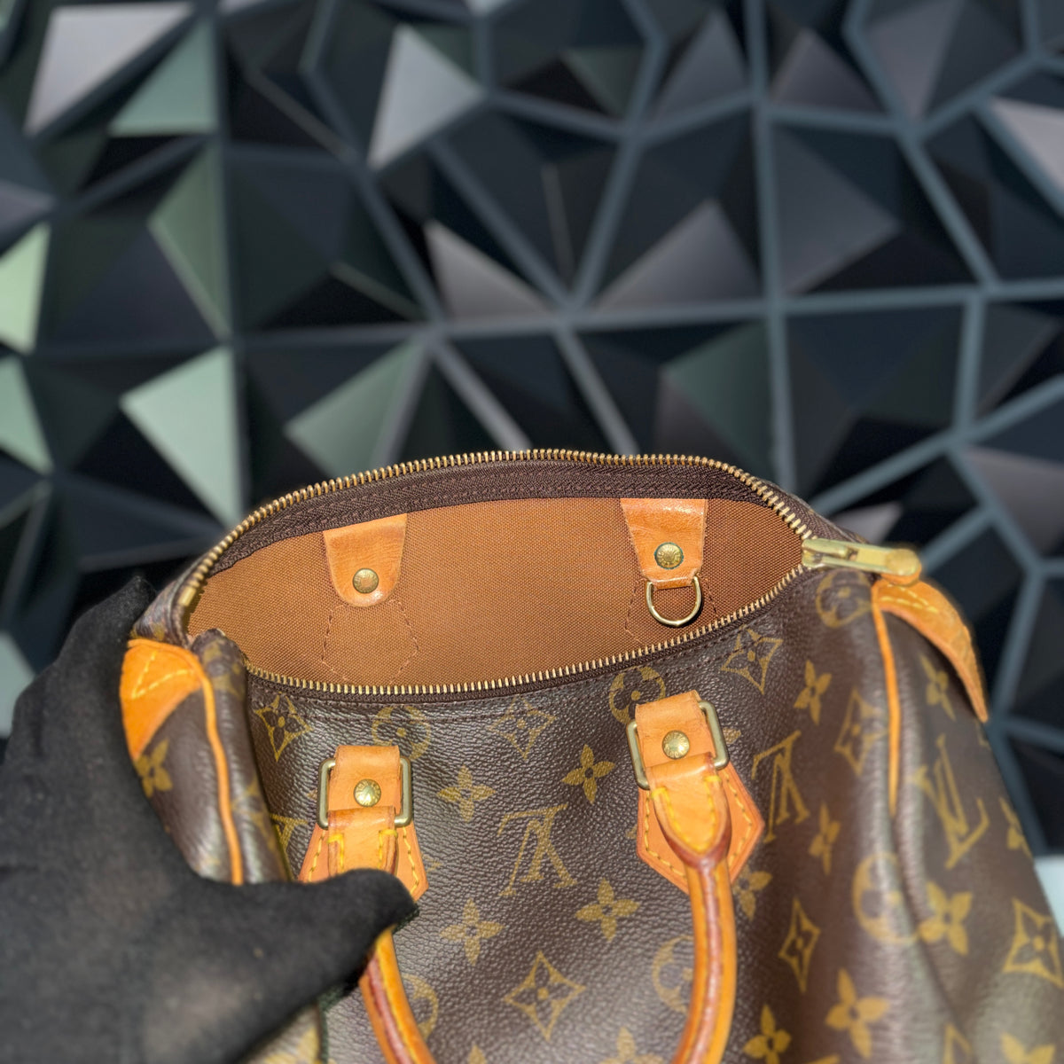 Louis Vuitton Speedy 25