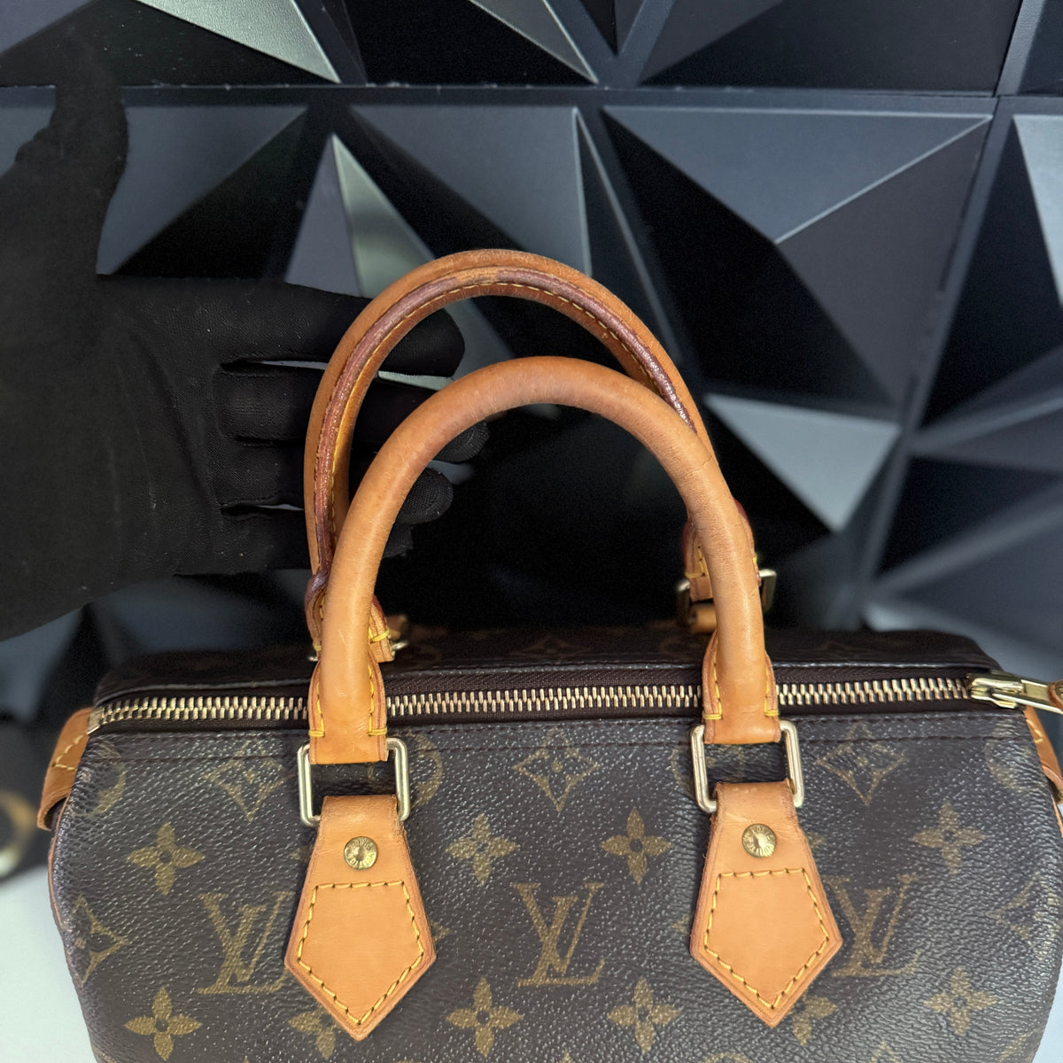 Louis Vuitton Speedy 25