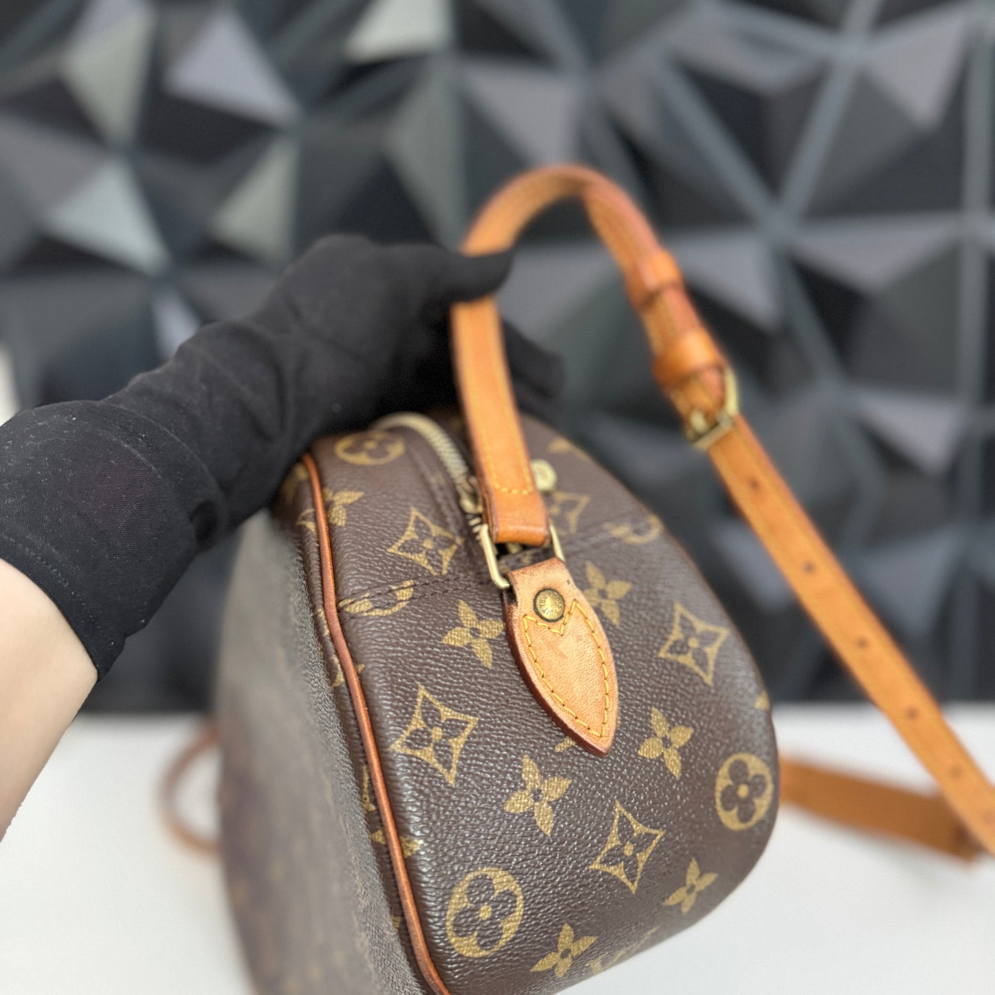 Louis Vuitton Blois