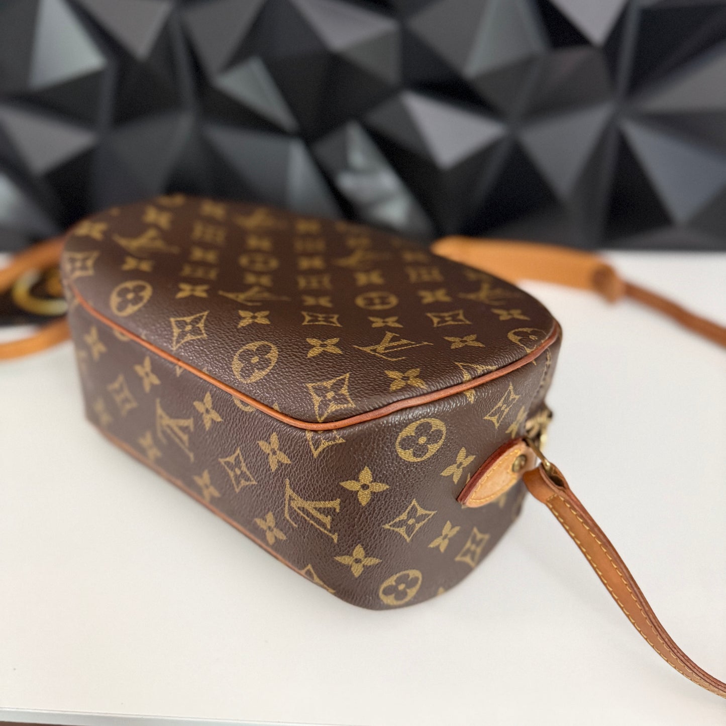 Louis Vuitton Blois
