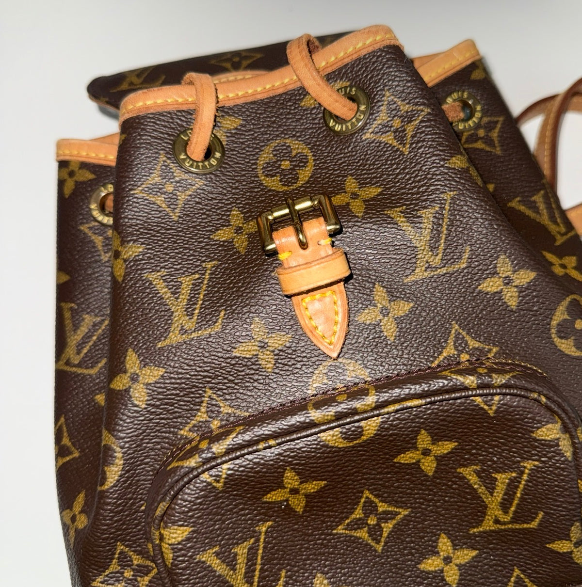 Louis Vuitton Montsouris Mini
