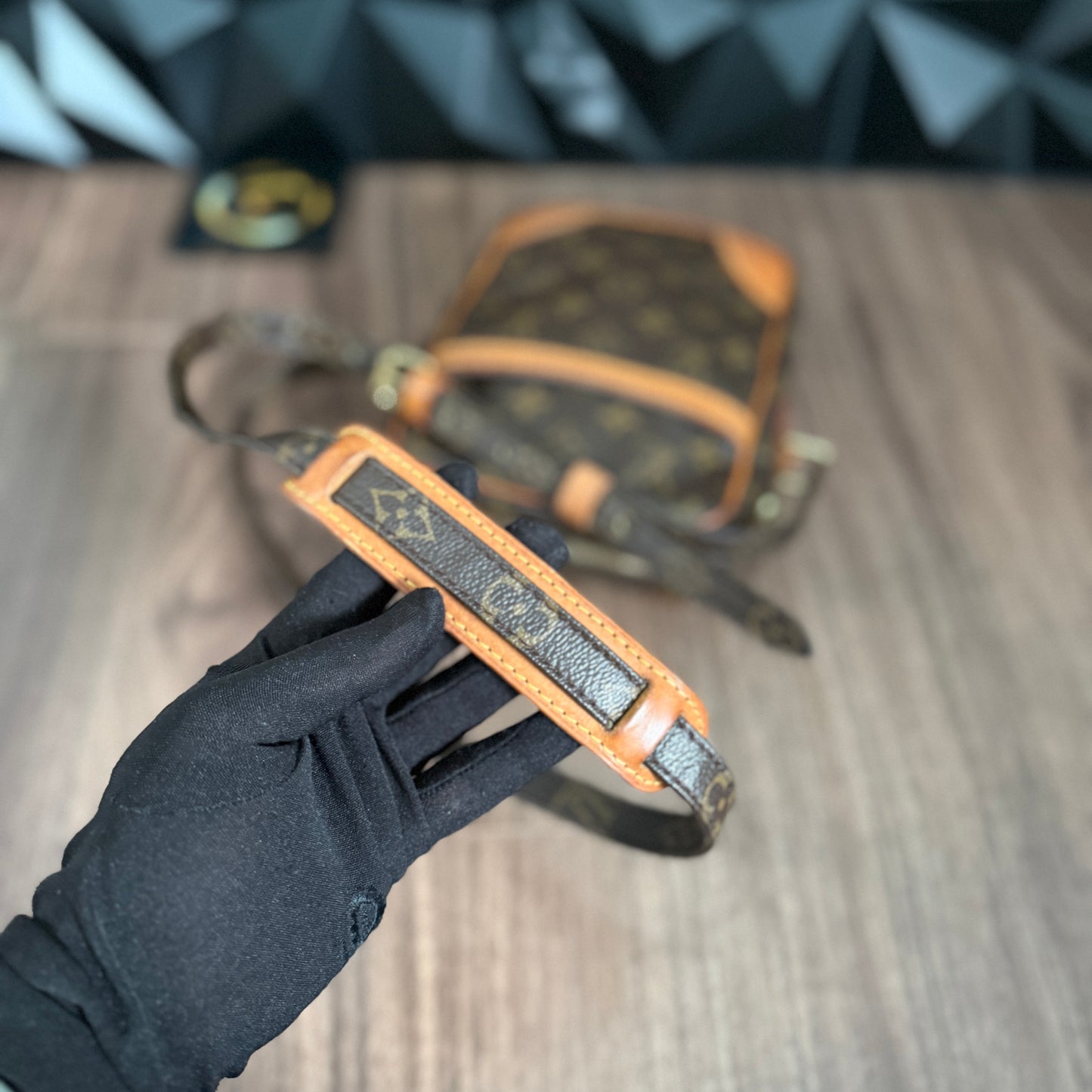 Louis Vuitton Danube PM