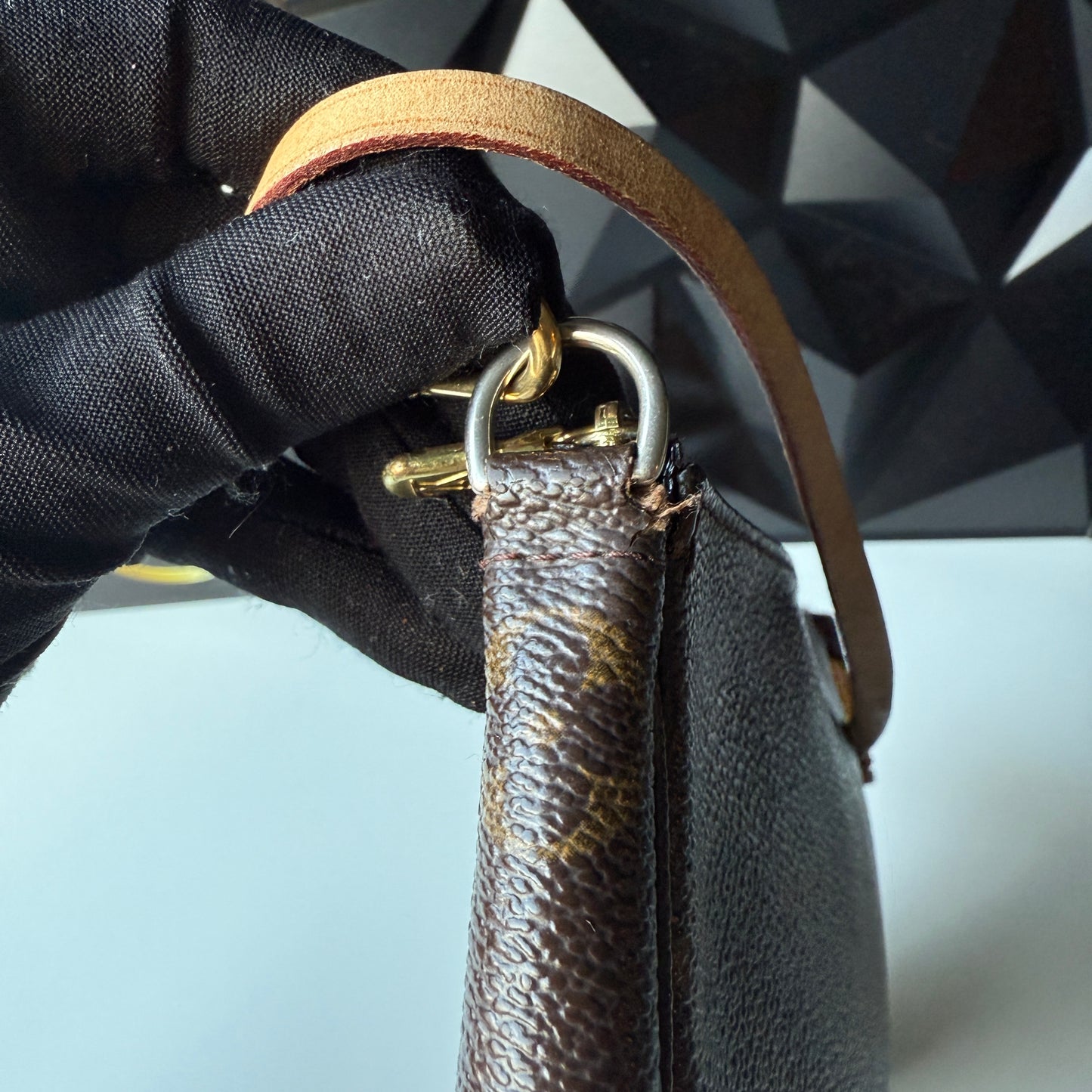 Louis Vuitton Pochette Accessoires