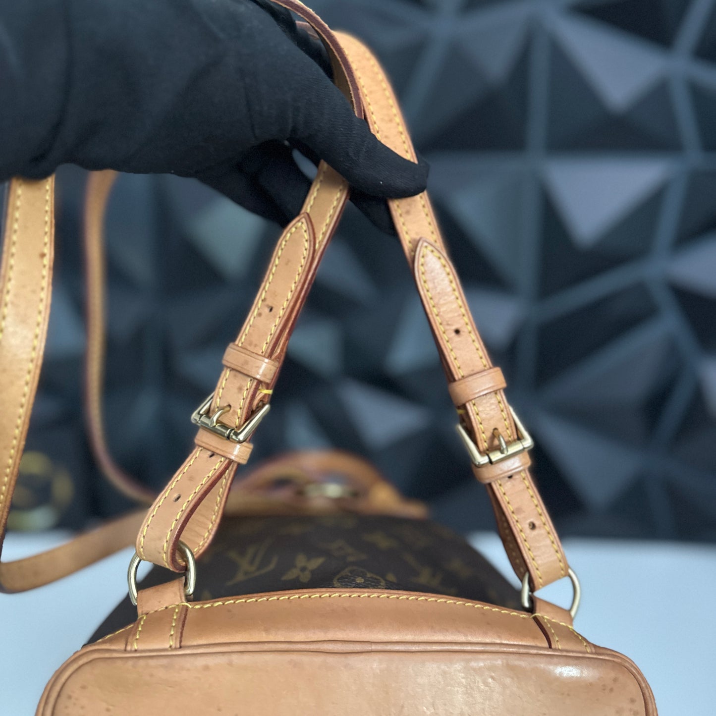 Louis Vuitton Montsouris Mini
