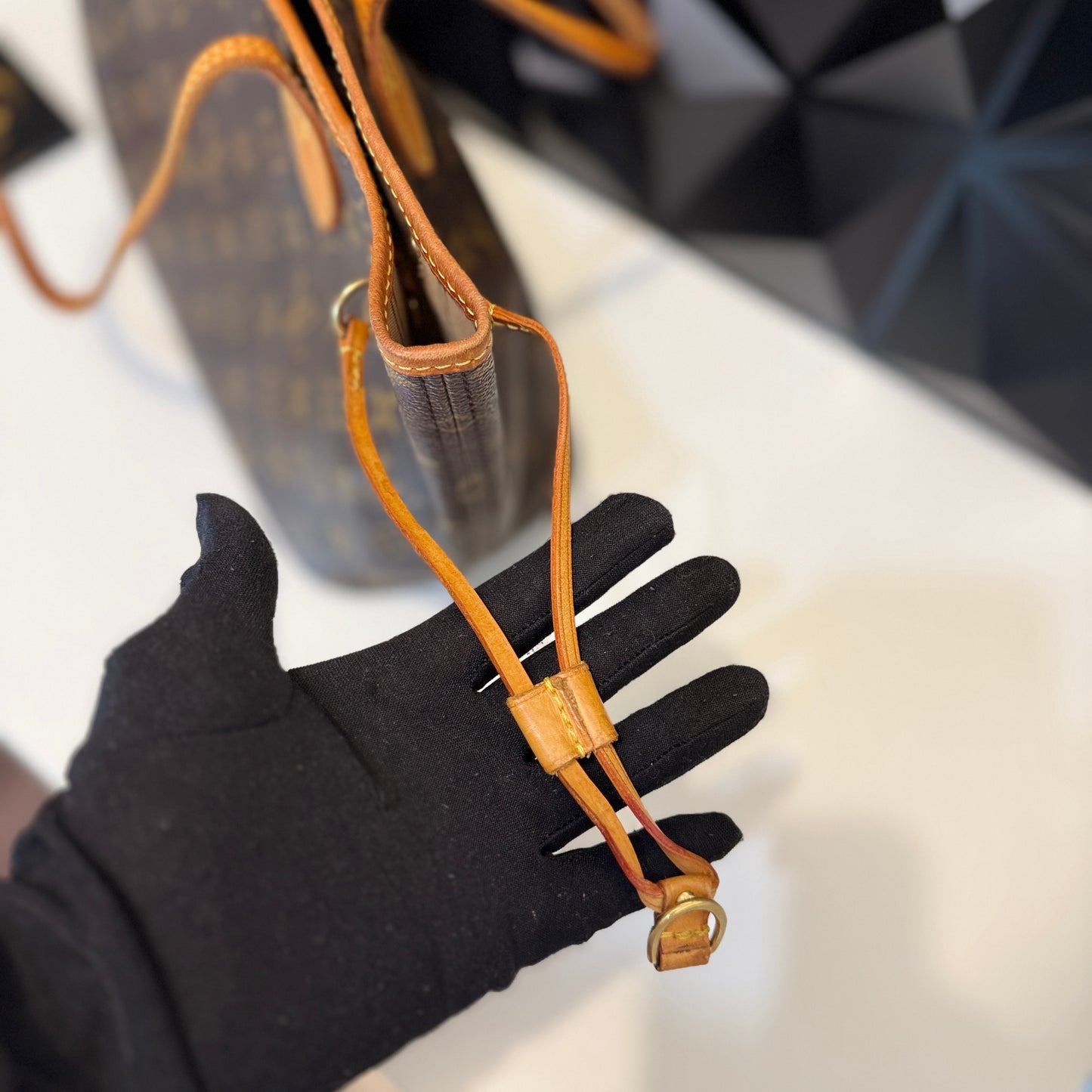 Louis Vuitton Neverfull PM