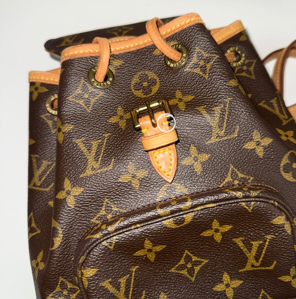Louis Vuitton Montsouris Mini