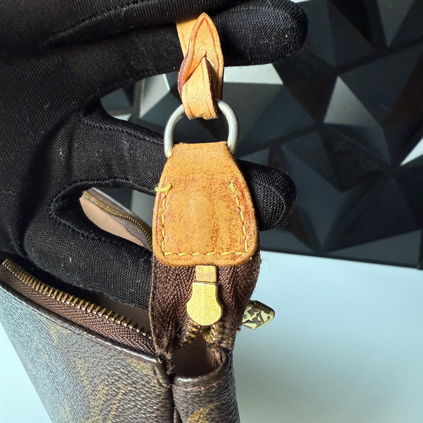 Louis Vuitton Pochette Accessoires