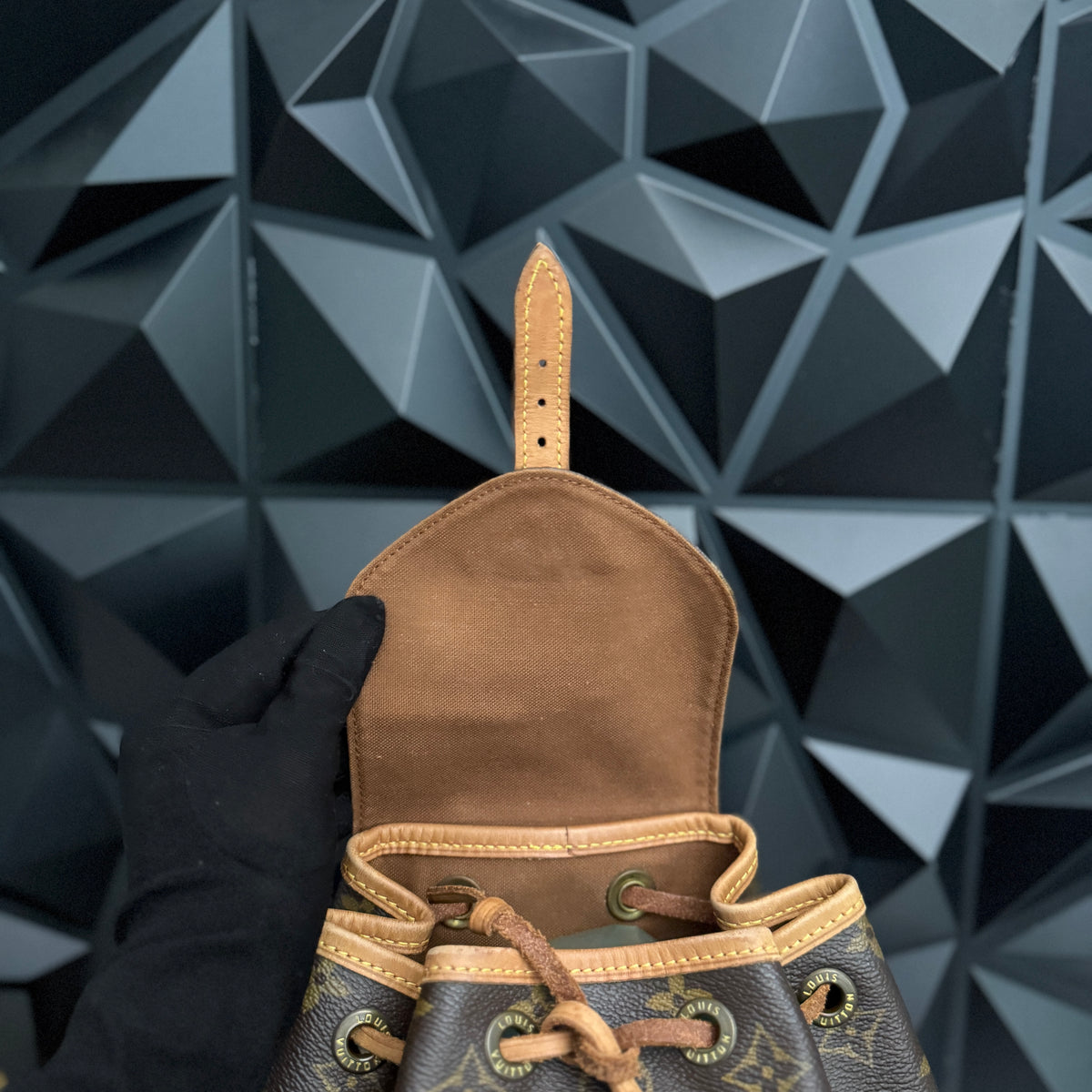 Louis Vuitton Montsouris Mini