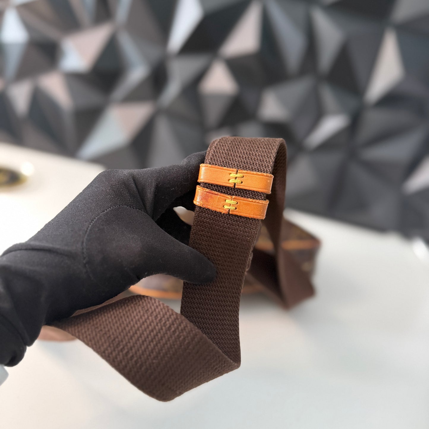 Louis Vuitton Gange Bumbag / Beltbag