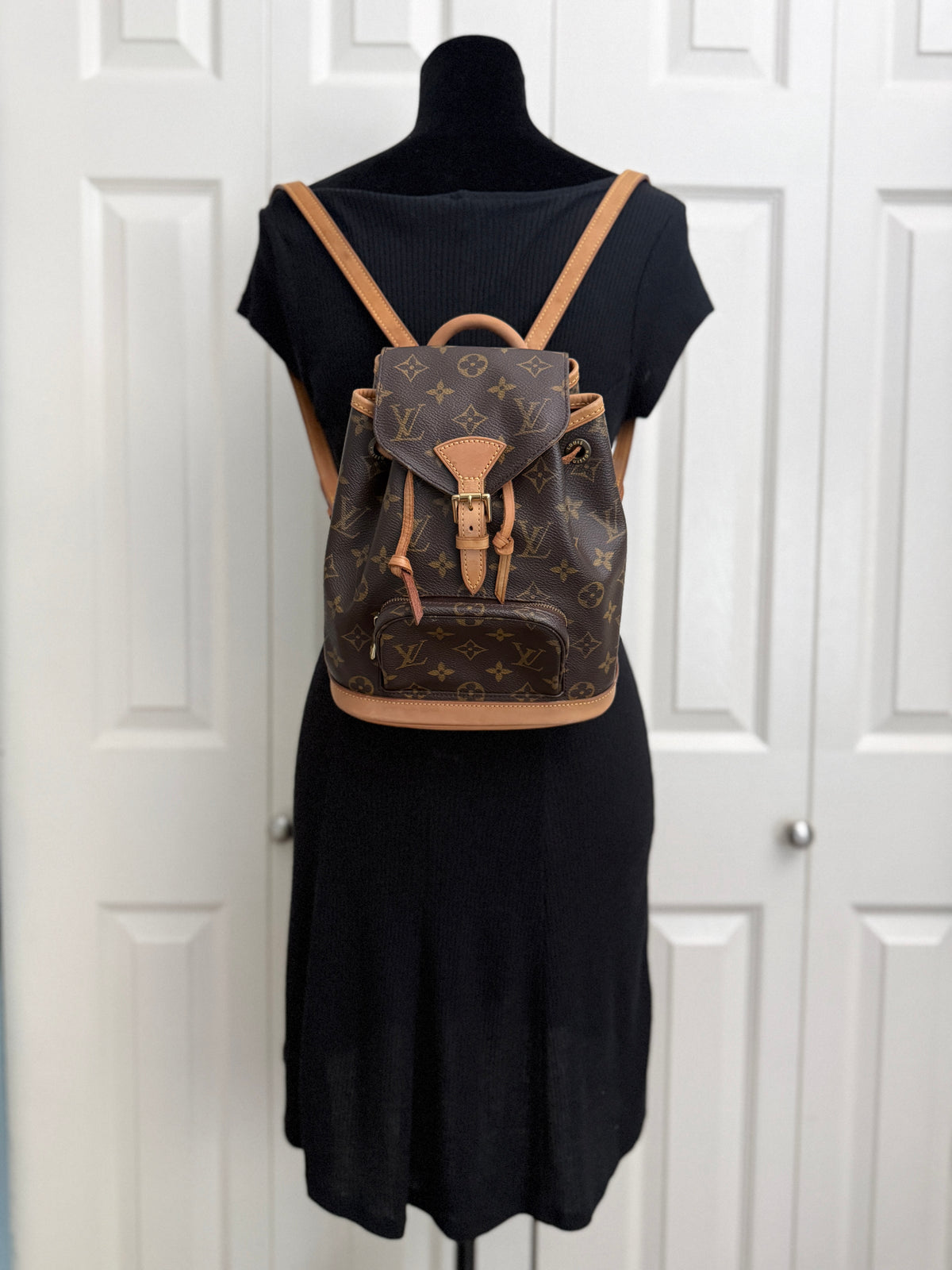 Louis Vuitton Montsouris Mini