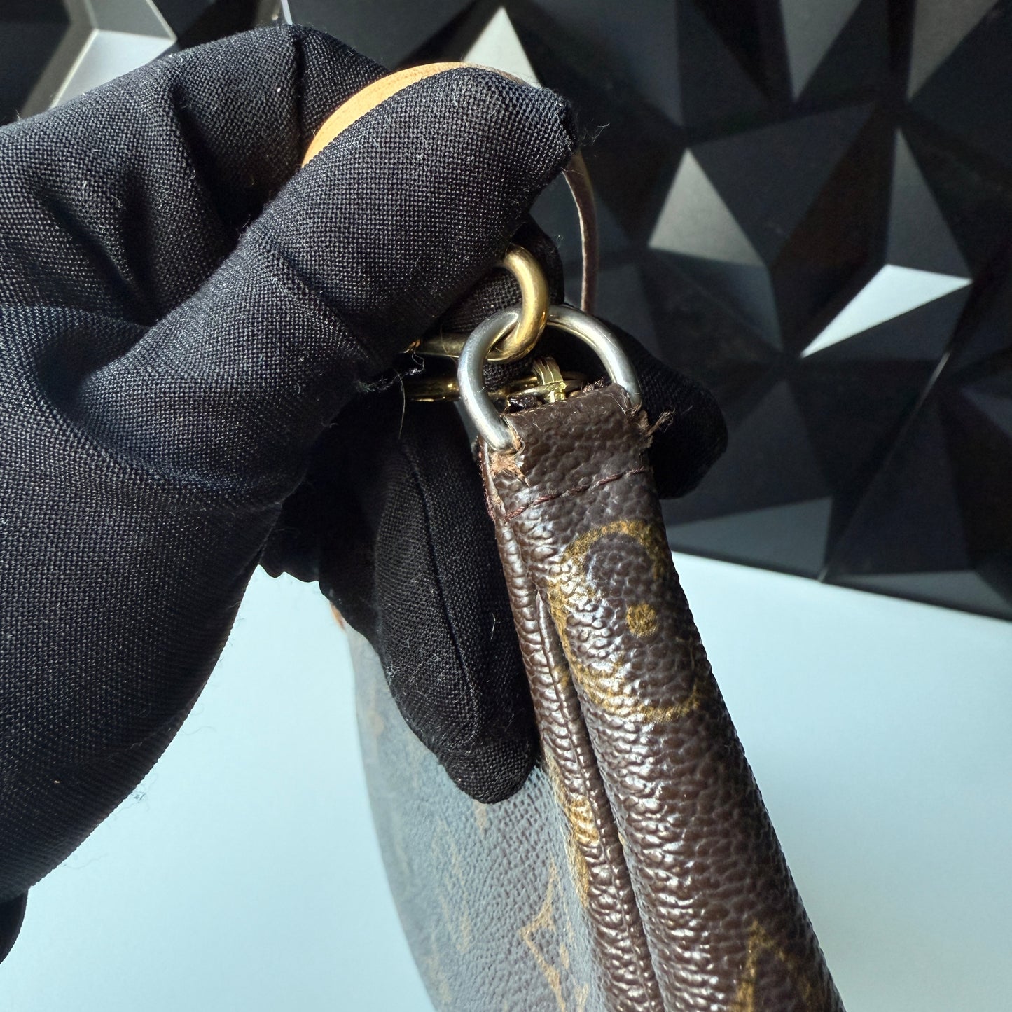 Louis Vuitton Pochette Accessoires